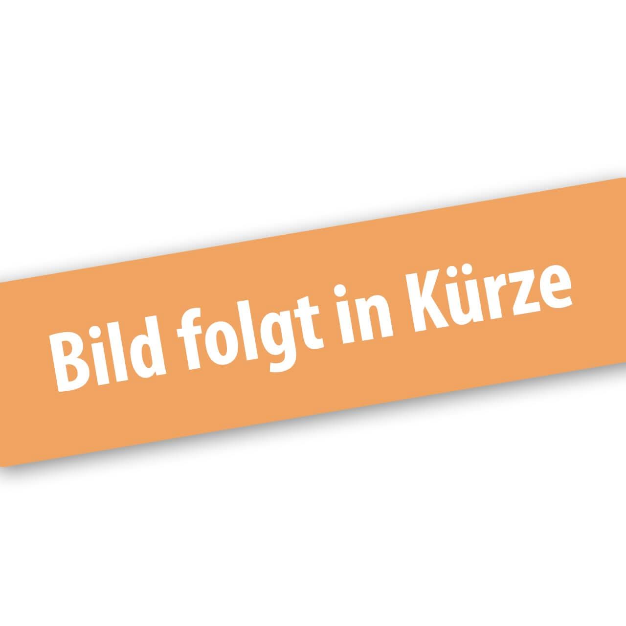 Zündspule für LBP165T