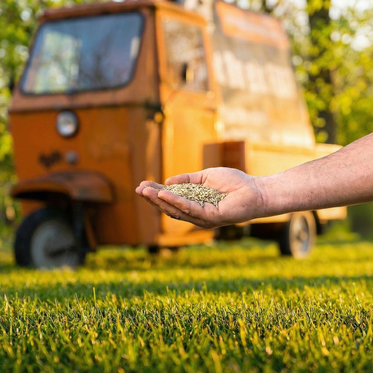 FUXTEC Rasensamen FX-RSSP1 1kg Spiel- & Sportrasen