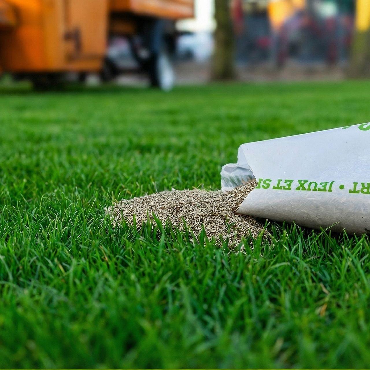 FUXTEC Rasensamen FX-RSSP1 1kg Spiel- & Sportrasen