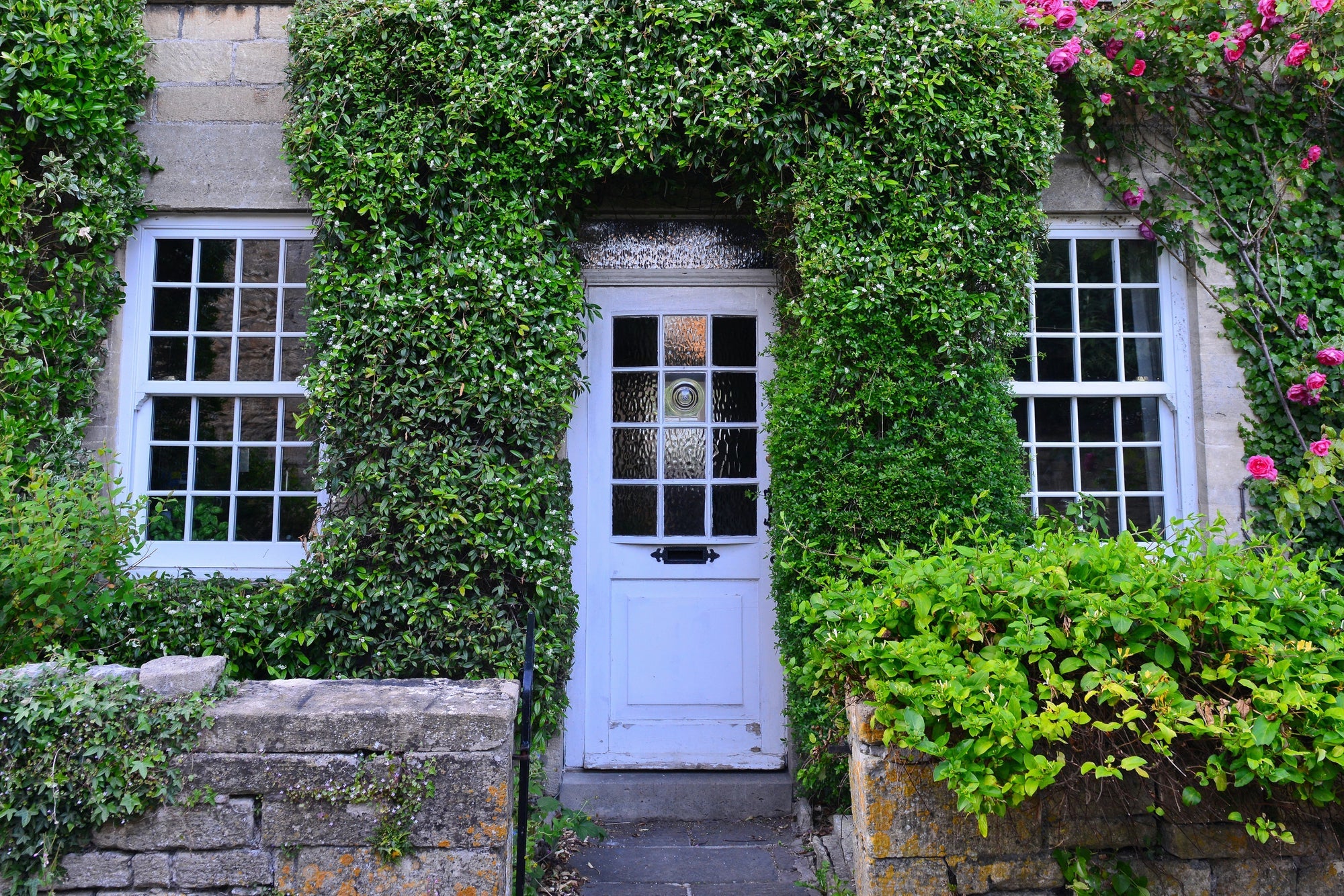 Fassadenbegrünung: Pflegeaufwand minimieren und Grüne Fassade gestalten