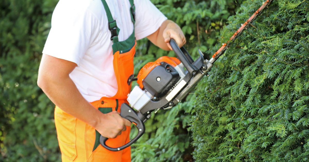 Richtig Hecken schneiden - FUXTEC Gartenratgeber