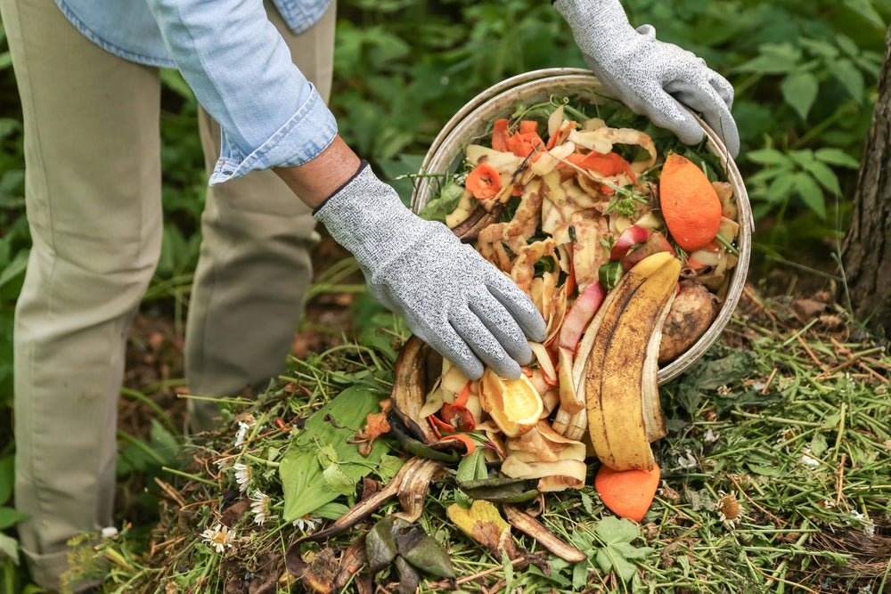 Richtig kompostieren mit Essensresten und Grünabfällen
