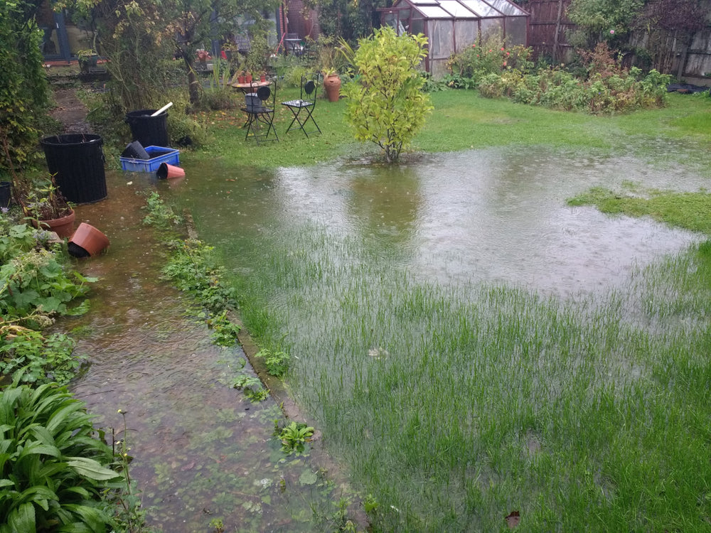 Gartenpflege nach Starkregen: Was dein Garten jetzt braucht