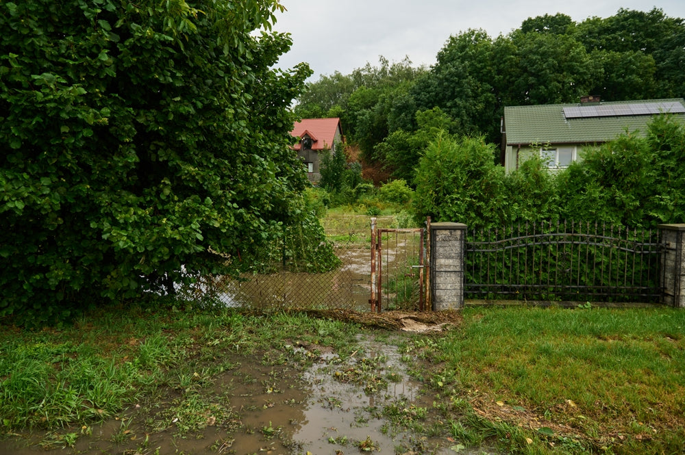 Staunässe im Garten vermeiden: Ursachen, Folgen& Drainage für gesunde Pflanzen