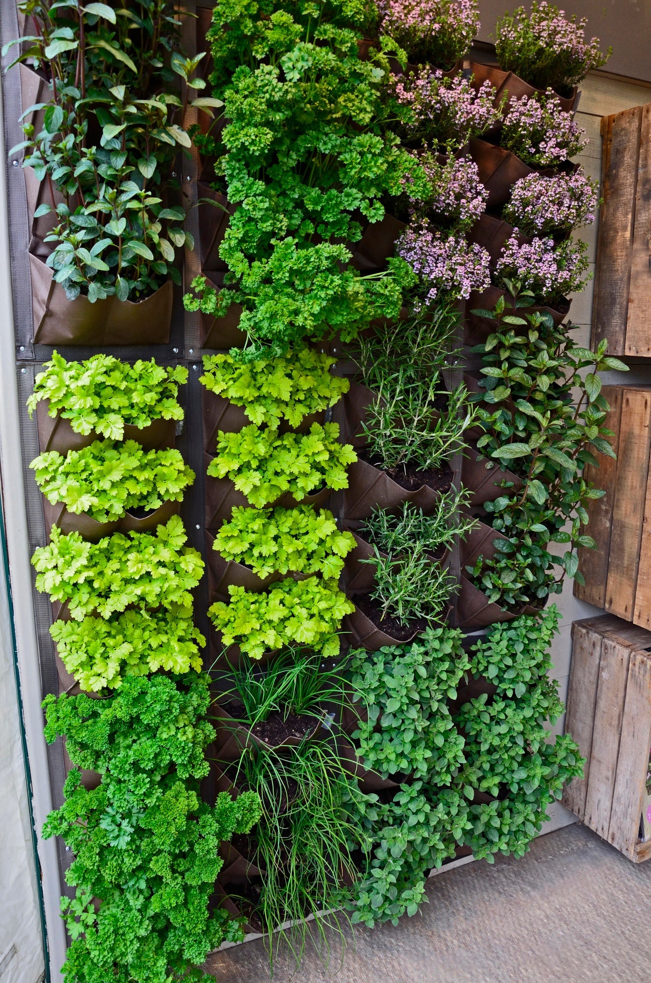 Die eng bepflanzten braunen Stofftaschen an der Wand zeigen, wie man einen vertikalen Garten anlegen kann.